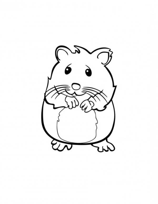Cute Hamster In Guinea Pig Coloring Page Color Luna 600x776 Cute Hamster In Guinea Pig Coloring Page Color Luna