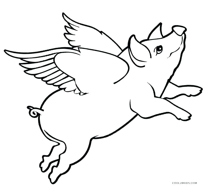 Guinea Pig Coloring Page Baby Pig Coloring Pages Coloring Pages 850x778 Guinea Pig Coloring Page Baby Pig Coloring Pages Coloring Pages