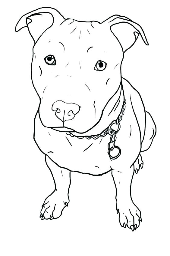 Cute Baby Puppy Coloring Pages at GetColorings.com | Free printable ...