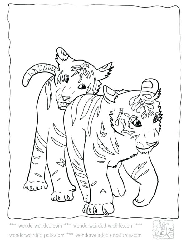 612x792 Cute Tiger Coloring Pages