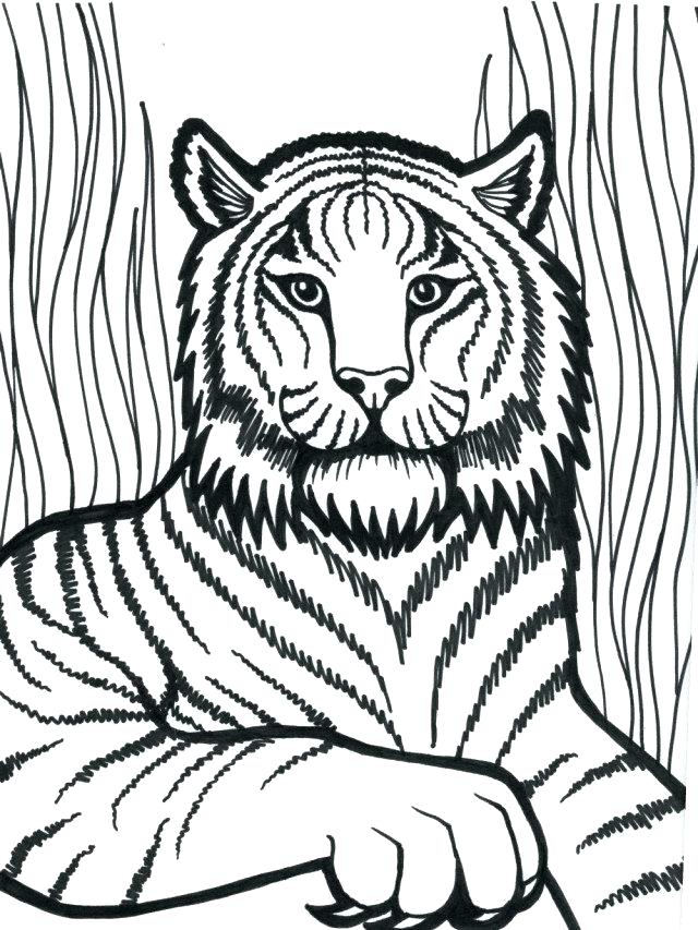 Cute Baby Tiger Coloring Pages at GetColorings.com | Free printable ...