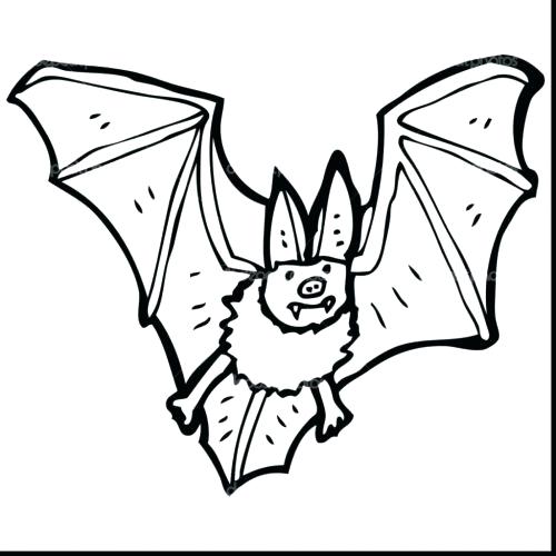 Cute Bat Coloring Pages at GetColorings.com | Free printable colorings ...