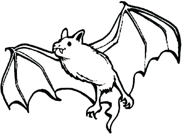 600x444 Bat Coloring Pages Bats Picture Of Bats Coloring Page Cute Bat