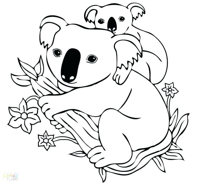 687x637 Koala Bear Coloring Pages Koala Bear Coloring Pages Koala Coloring