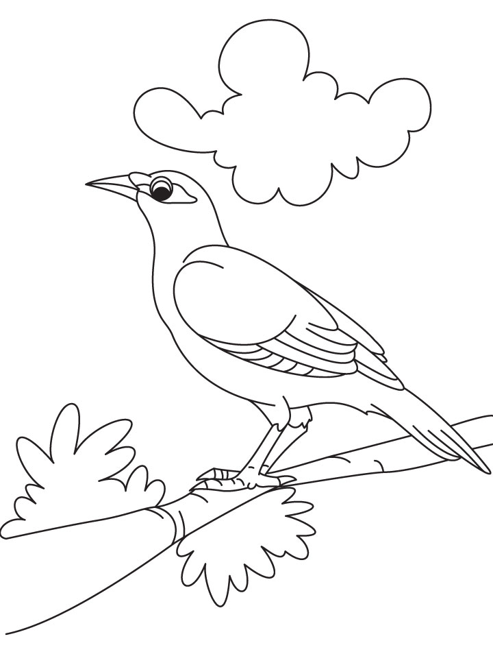 Cute Bird Coloring Pages
