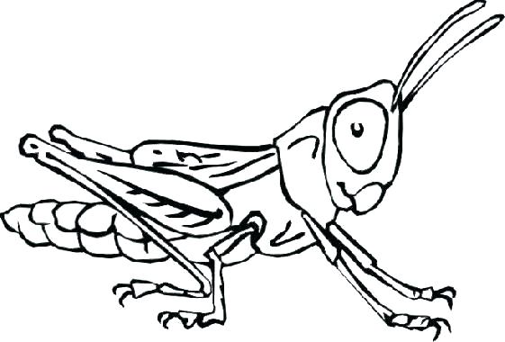 Coloring Bugs Bugs Coloring Pages Bugs Coloring Page Bugs Coloring 561x380 Coloring Bugs Bugs Coloring Pages Bugs Coloring Page Bugs Coloring
