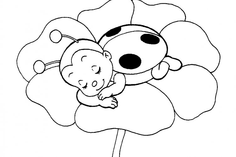 Cute Ladybug Coloring Pages 750x500 Cute Ladybug Coloring Pages