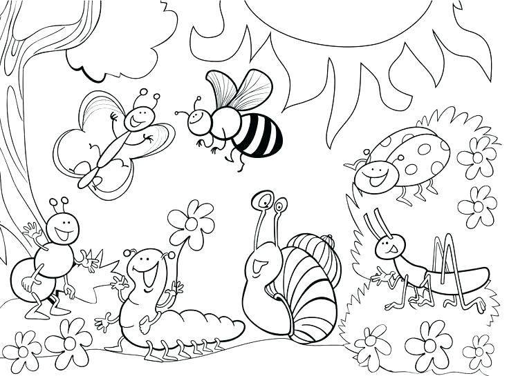 Bug Coloring Page Free Printable Insect Coloring Pages Insect 736x545 Bug Coloring Page Free Printable Insect Coloring Pages Insect