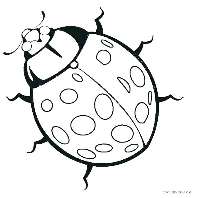 Lady Bug Coloring Sheet Delightful Ladybug Coloring Pages Print 640x646 Lady Bug Coloring Sheet Delightful Ladybug Coloring Pages Print