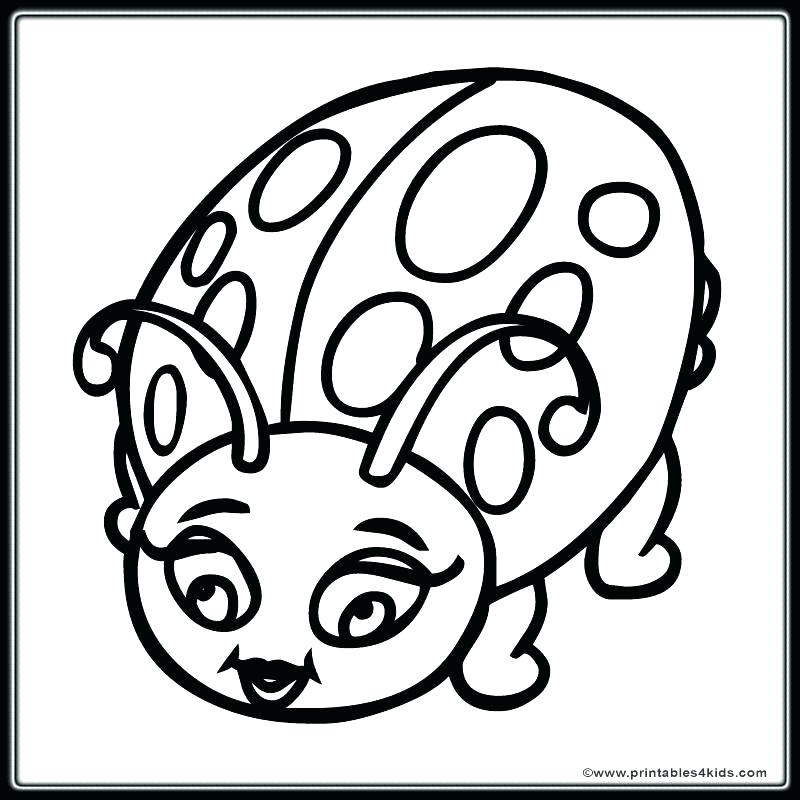 Ladybug Color Pages Lady Bug Coloring Pages New Ladybug Coloring 800x800 Ladybug Color Pages Lady Bug Coloring Pages New Ladybug Coloring