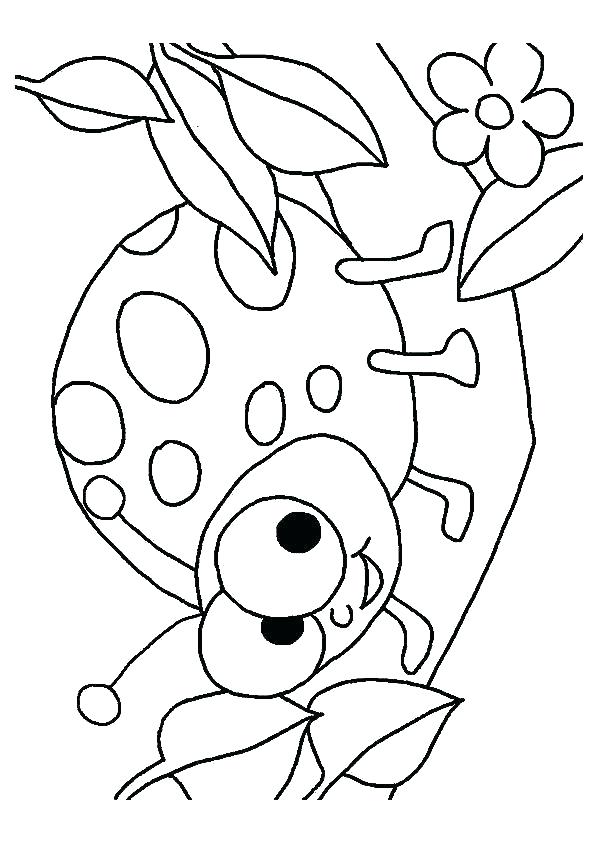 Lady Bug Coloring Sheet 595x842 Lady Bug Coloring Sheet