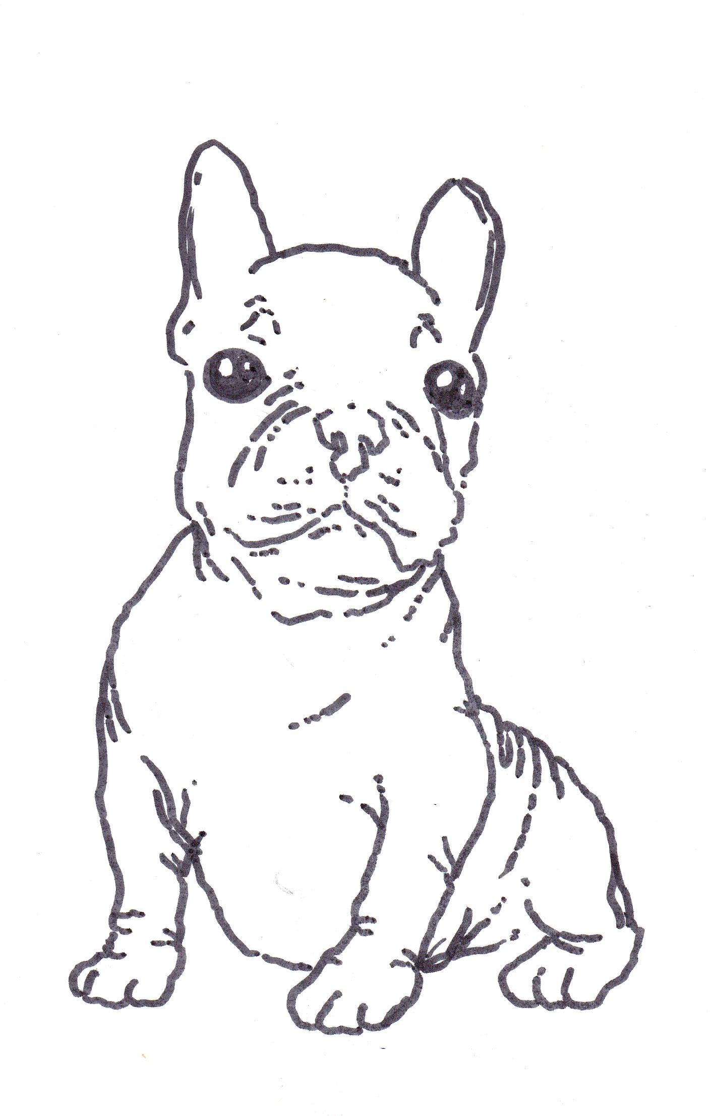 Boston Terrier Coloring Page 1410x2212 Boston Terrier Coloring Page