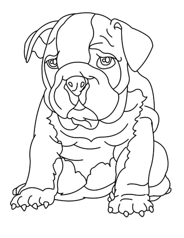 Drawing Bulldog Coloring Pages Best Place To Color 600x775 Drawing Bulldog Coloring Pages Best Place To Color
