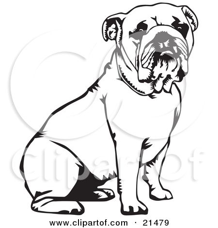 English Bulldog Clipart Super Cute 450x470 English Bulldog Clipart Super Cute