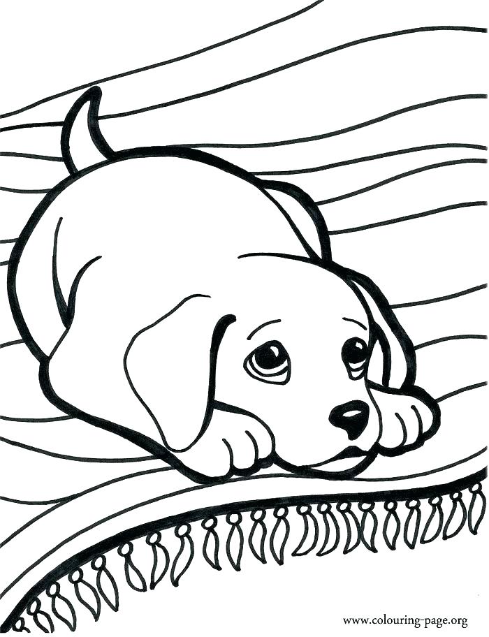 Free Dog Coloring Sheets Free Animal Coloring Free Rock Dog 700x912 Free Dog Coloring Sheets Free Animal Coloring Free Rock Dog