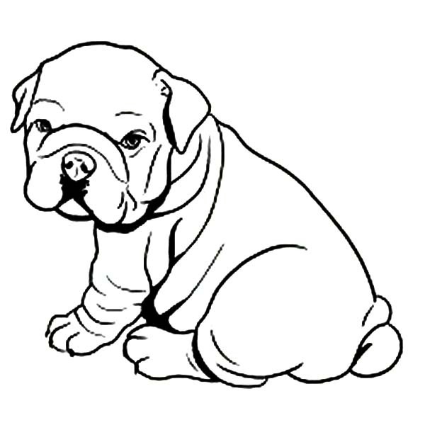 Bulldog Coloring Pages Unique Go Bulldogs Coloring Pages Logo 600x600 Bulldog Coloring Pages Unique Go Bulldogs Coloring Pages Logo