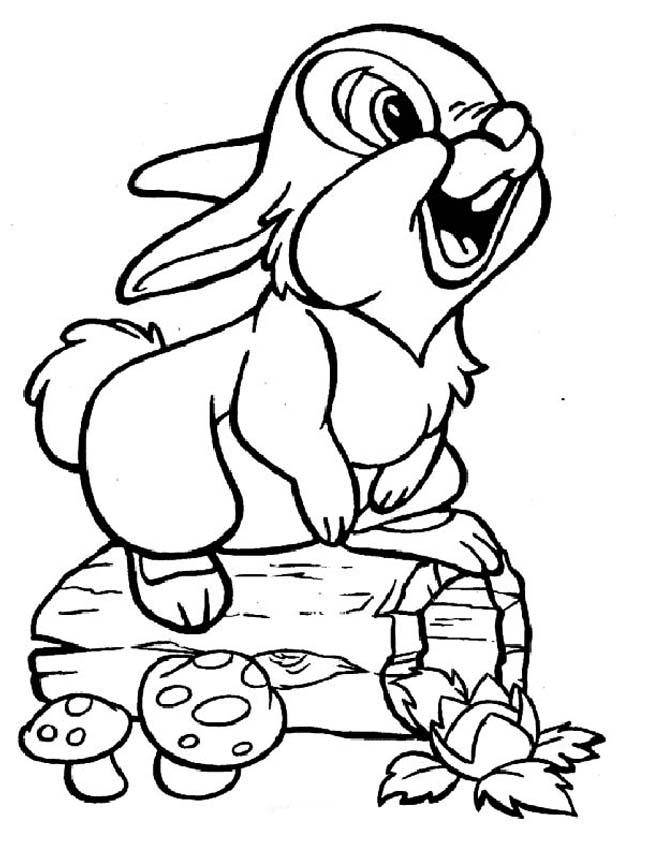 Rabbit Template 650x850 Rabbit Template