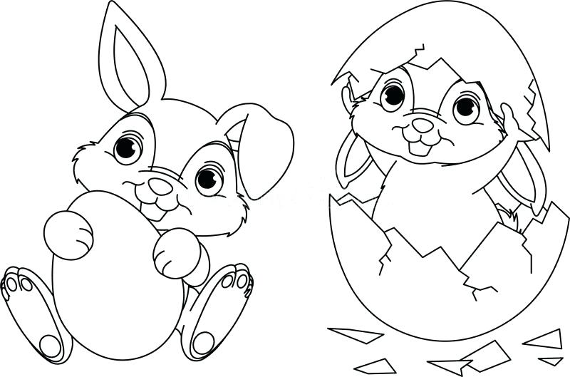 Bunny Coloring Page Girl Coloring Pages Baby Bunny Entertainment 800x529 Bunny Coloring Page Girl Coloring Pages Baby Bunny Entertainment