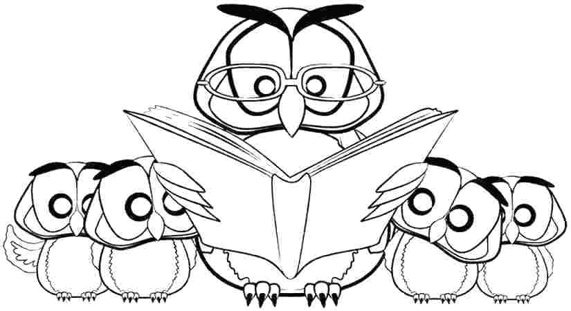 Free Printable Owl Coloring Pages Owl Color Page Free Printable 825x450 Free Printable Owl Coloring Pages Owl Color Page Free Printable
