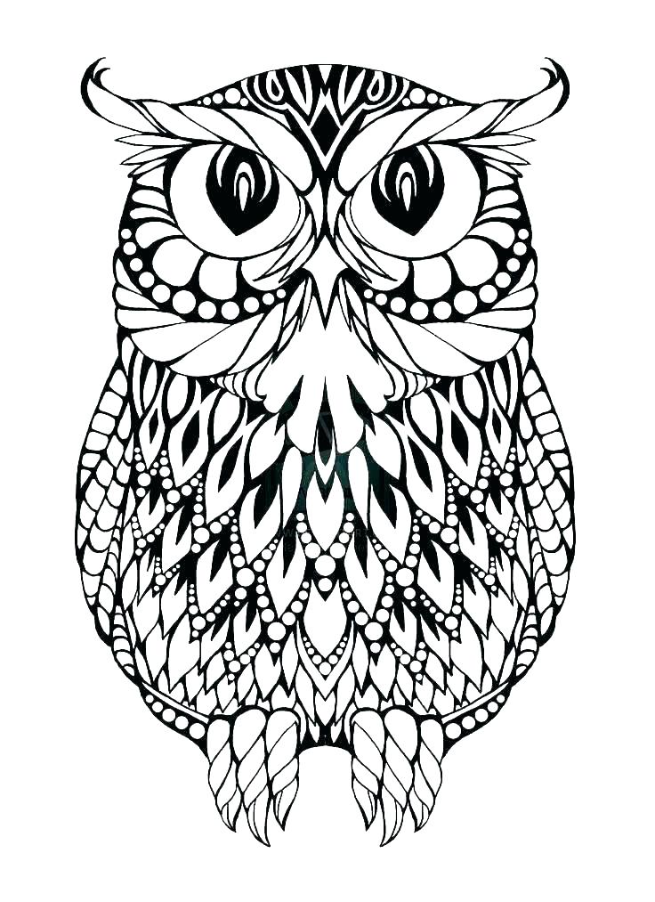 Cartoon Color Pages Cute Cartoon Owl Coloring Pages Owl Color 736x1013 Cartoon Color Pages Cute Cartoon Owl Coloring Pages Owl Color