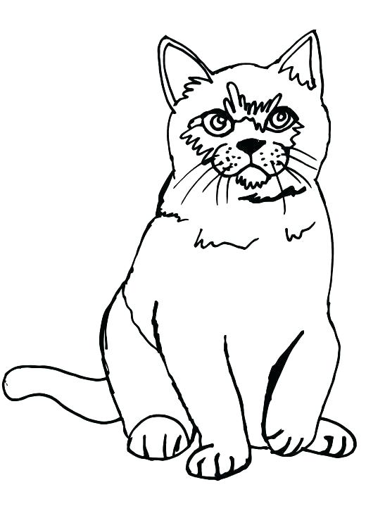 Coloring Pages Dogs And Cats Cute Cat Coloring Pages Free 520x736 Coloring Pages Dogs And Cats Cute Cat Coloring Pages Free
