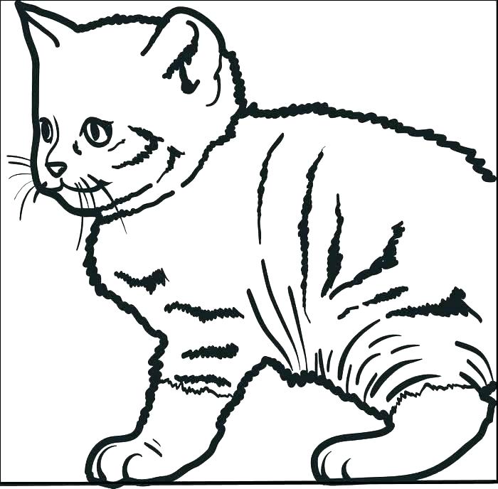 Funny Cat Coloring Pages Happy Kitten Coloring Page Coloring Page 700x688 Funny Cat Coloring Pages Happy Kitten Coloring Page Coloring Page