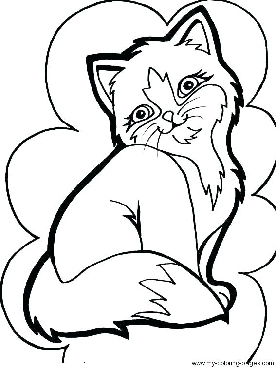 Kitty Coloring Pages Cute Kitty Cat Coloring Pages 567x756 Kitty Coloring Pages Cute Kitty Cat Coloring Pages