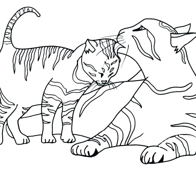 Best Coloring Pages Images On Coloring Books Baby Cat Coloring 678x600 Best Coloring Pages Images On Coloring Books Baby Cat Coloring