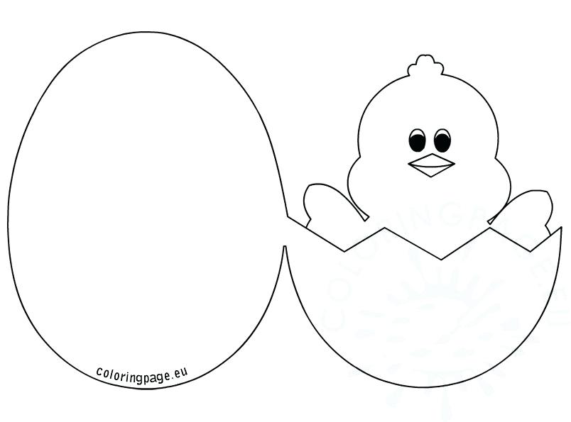 804x595 Coloring Pages Baby Chicks Best Coloring Page Throughout Coloring