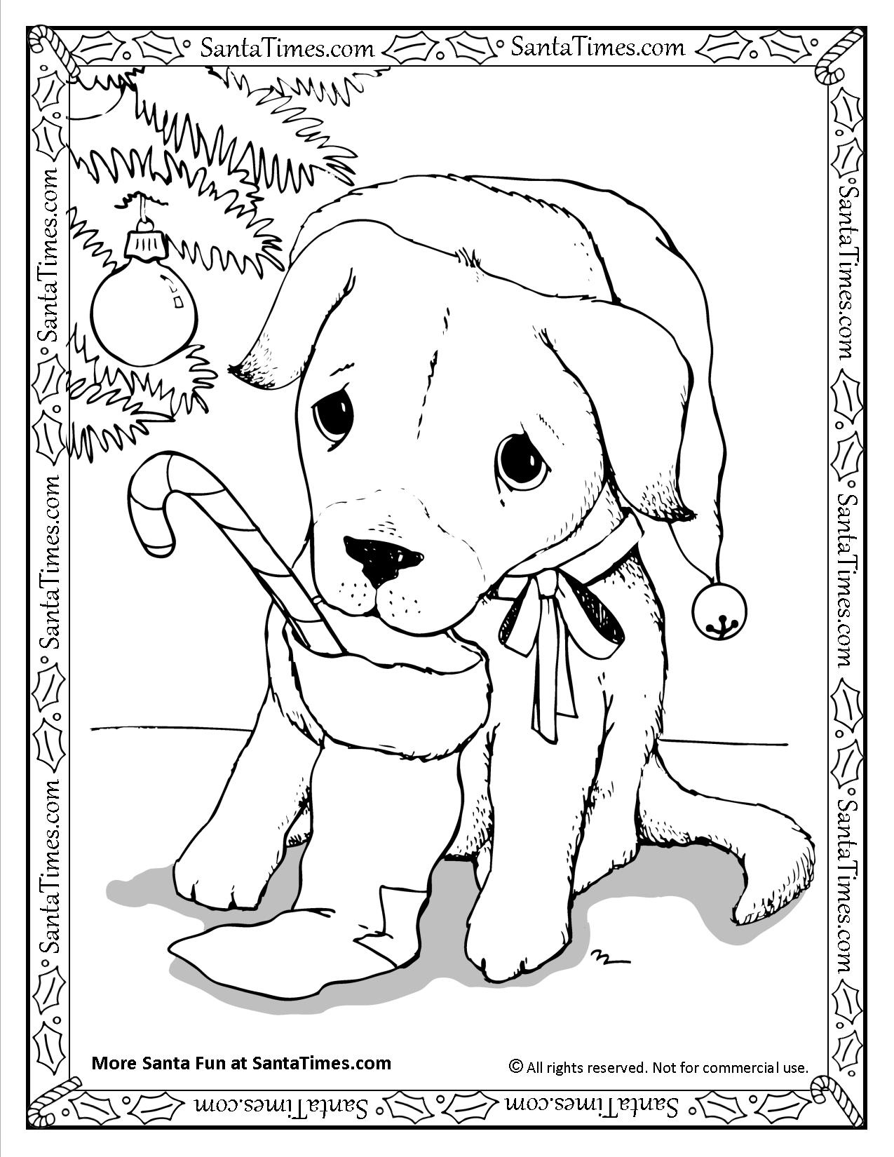 Santa Puppy Coloring Page 1275x1650 Santa Puppy Coloring Page