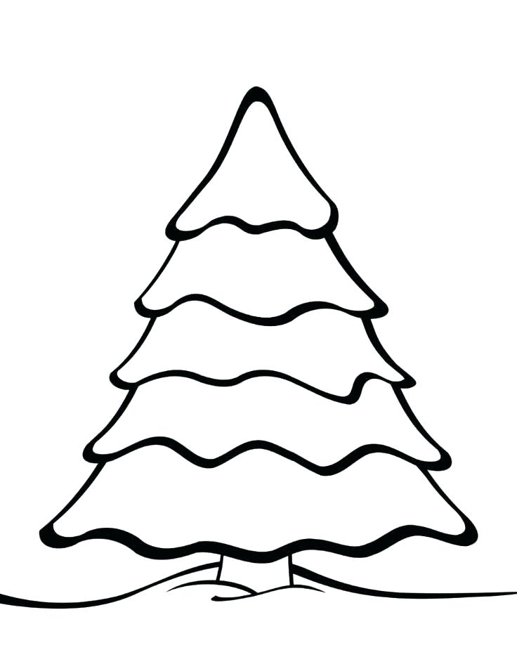 Christmas Trees Coloring Pages Trees Coloring Pages Tree Coloring 736x952 Christmas Trees Coloring Pages Trees Coloring Pages Tree Coloring