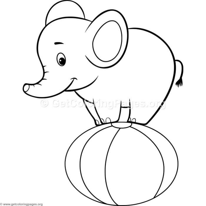 700x700 Simple Cute Circus Elephant Coloring Pages