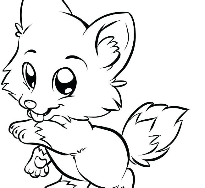 Cute Coloring Pages Animals Coloring Pages 652x600 Cute Coloring Pages Animals Coloring Pages
