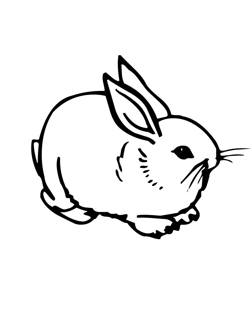 820x1060 Free Printable Rabbit Coloring Pages For Kids