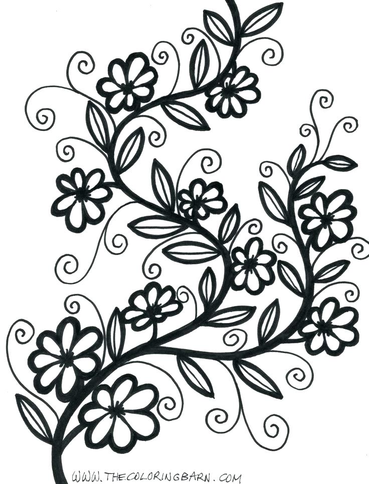 736x965 Flower Printable Coloring Pages Fancy Flower Coloring Pages
