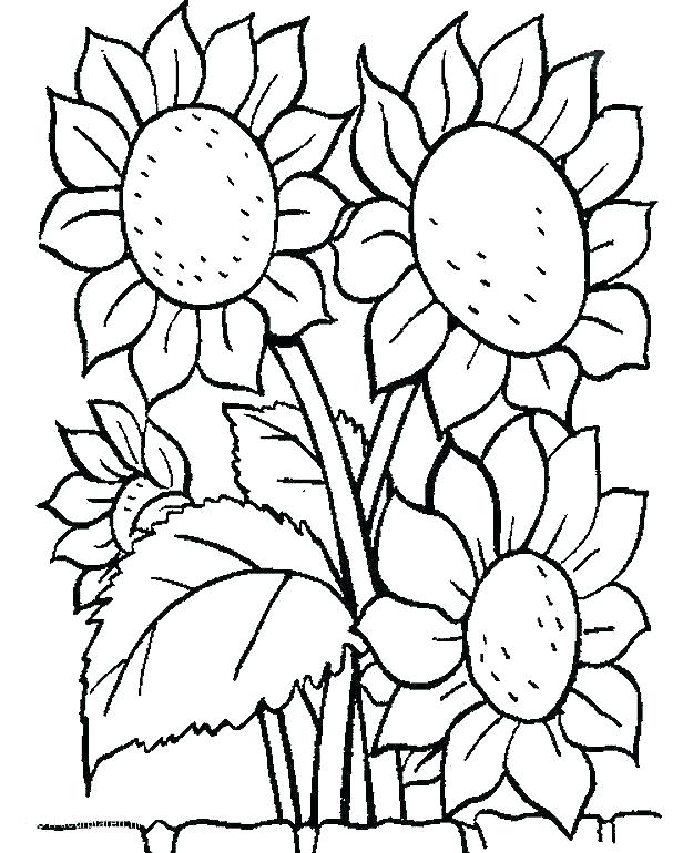 616x770 Free Flower Coloring Pages Fancy Flower Coloring Pages