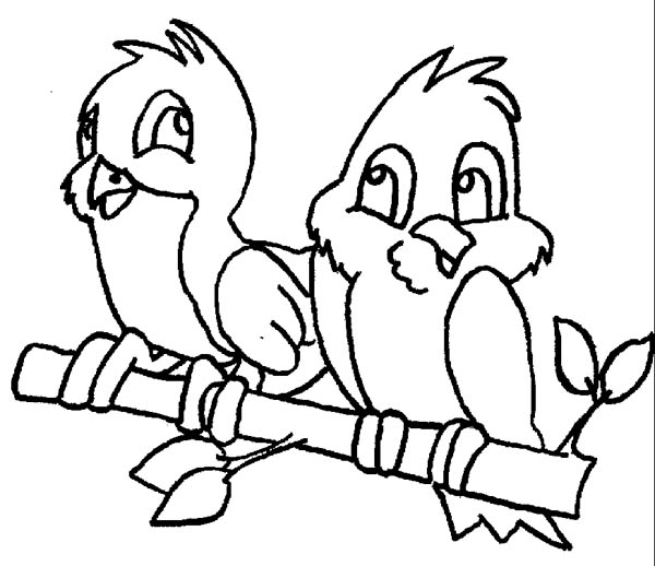600x518 Cute Couple Of Robin Bird Coloring Page