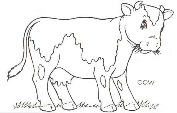 Cow Coloring Pages 360coloringpages 600x385 Cow Coloring Pages 360coloringpages