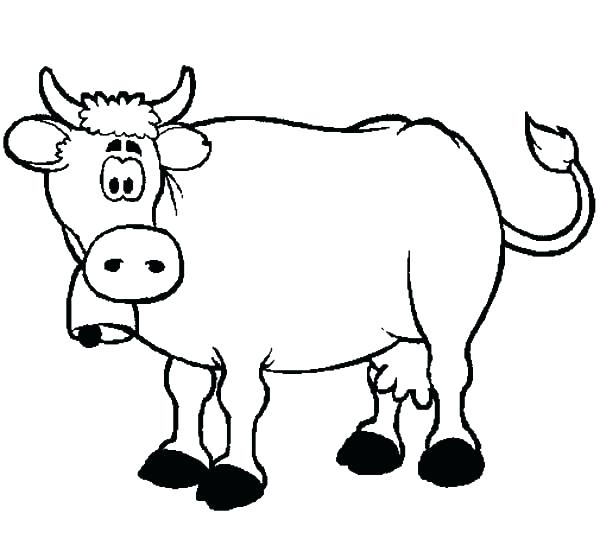 Coloring Pages Cow Coloring Pages Confused Dairy Cow Coloring 600x558 Coloring Pages Cow Coloring Pages Confused Dairy Cow Coloring