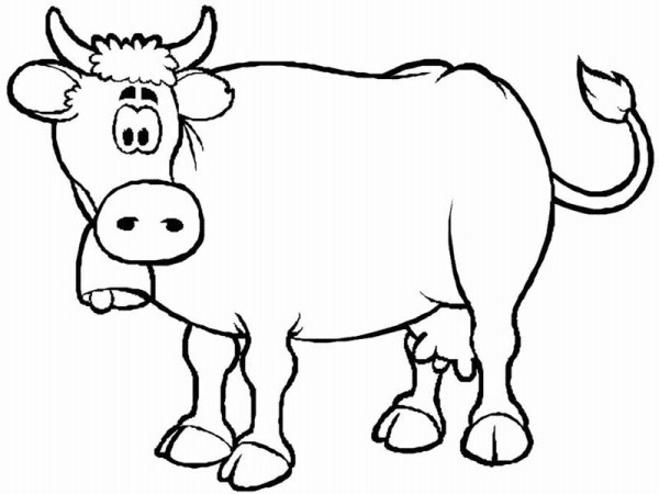 Cow Coloring Page 600x450 Cow Coloring Page