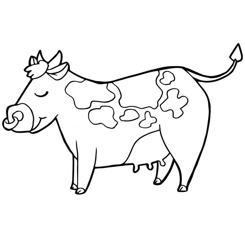 Cow Coloring Page Image Detail For Coloring Page With Cute Cow Cow 800x800 Cow Coloring Page Image Detail For Coloring Page With Cute Cow Cow