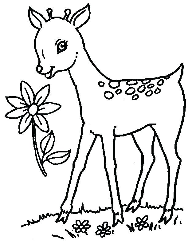 Baby Deer Coloring Pages Deer Hunting Coloring Pages Baby Deer 625x794 Baby Deer Coloring Pages Deer Hunting Coloring Pages Baby Deer