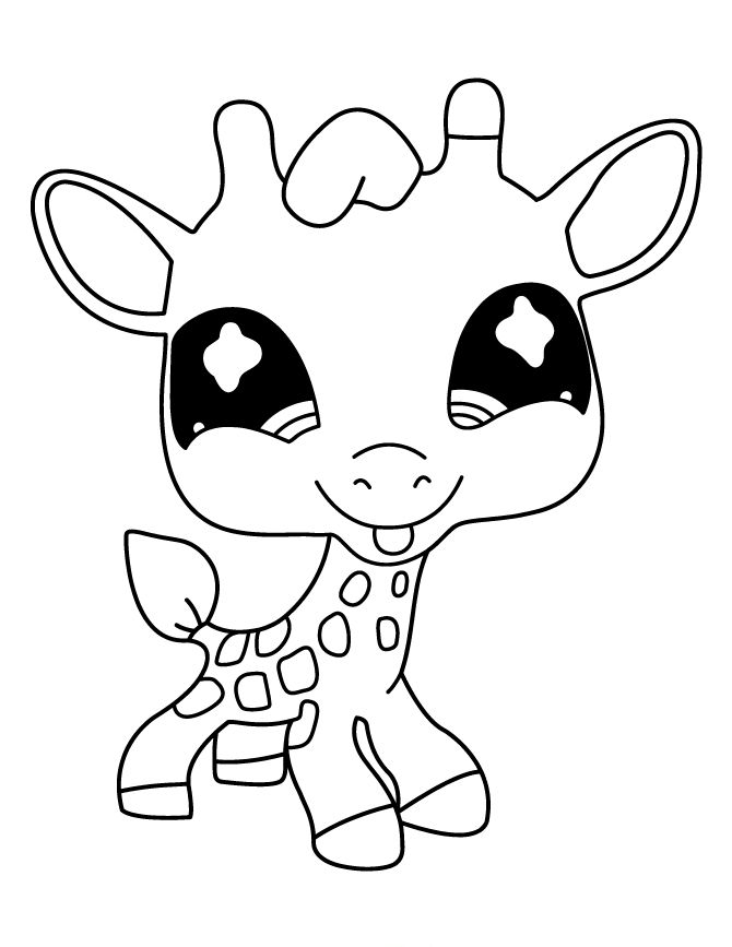 20 Best Littlest Pet Shop Coloring Pages Images 670x867 20 Best Littlest Pet Shop Coloring Pages Images