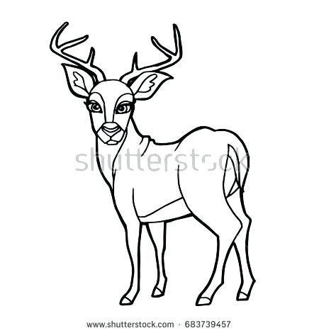 Deer Coloring Page Deer Coloring Page Free John Deere Coloring 450x470 Deer Coloring Page Deer Coloring Page Free John Deere Coloring