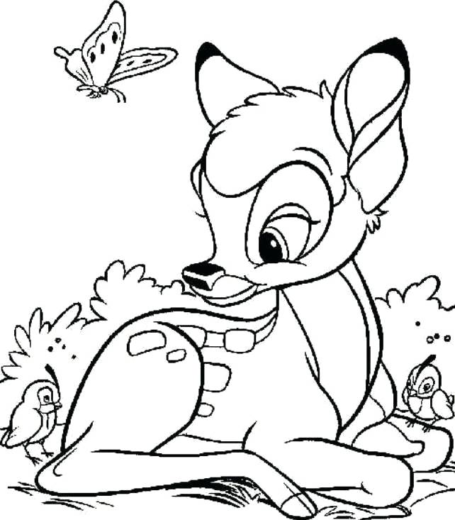 Deer Coloring Pages Head Outline Page Murs 642x733 Deer Coloring Pages Head Outline Page Murs