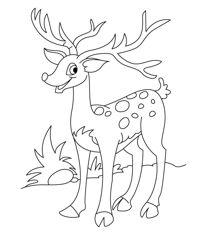 Deer Templates 700x792 Deer Templates