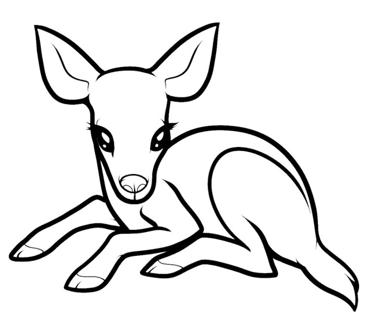 Baby Deer Coloring Pages 750x659 Baby Deer Coloring Pages