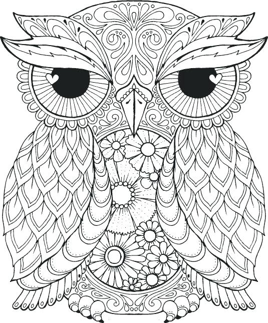 Cute Coloring Pages Adult Coloring Pages Together With Owl Colour 535x645 Cute Coloring Pages Adult Coloring Pages Together With Owl Colour