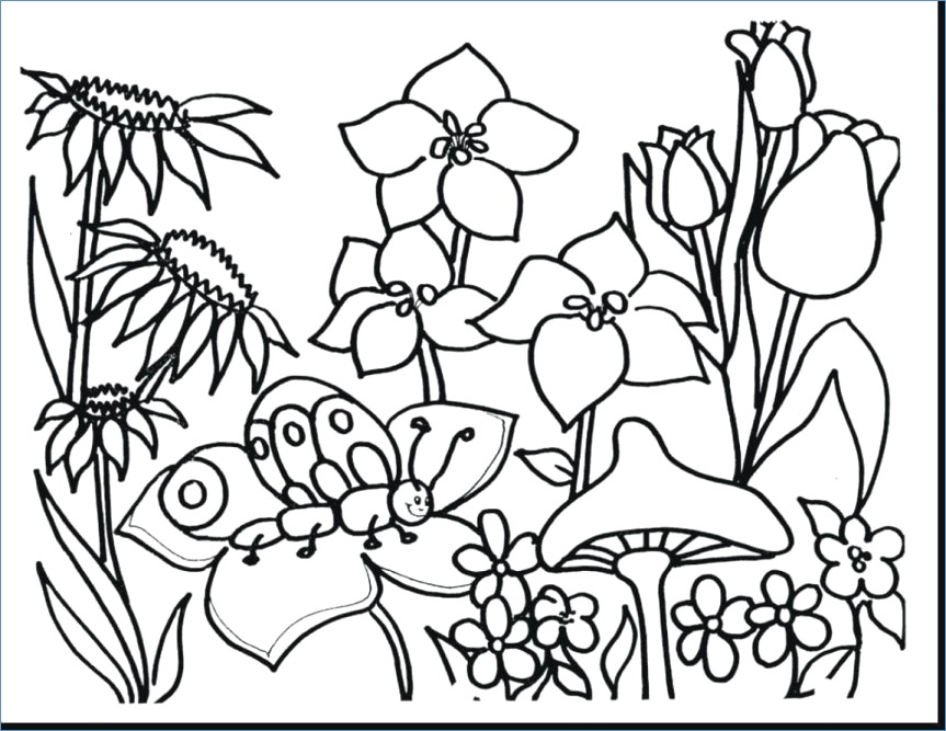 Butterfly Flower Coloring Pages Cute 863x667 Butterfly Flower Coloring Pages Cute