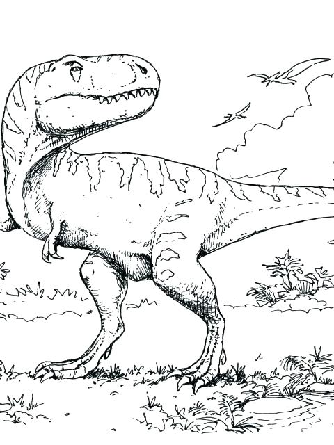 Dinosaur King Coloring Pages Dinosaur Coloring Pages Free 480x640 Dinosaur King Coloring Pages Dinosaur Coloring Pages Free